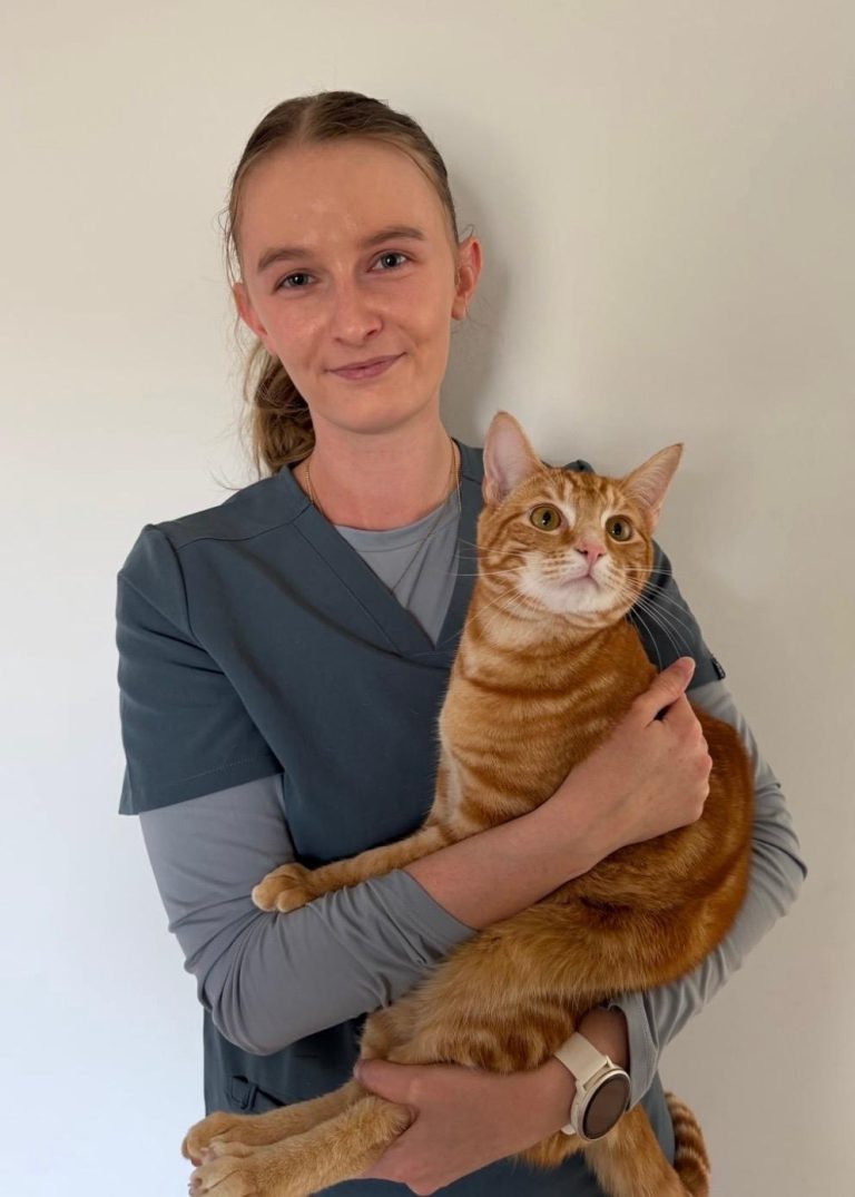 Ashely Campbell, Veterinary Nurse at Vogue Vets, holding a ginger cat